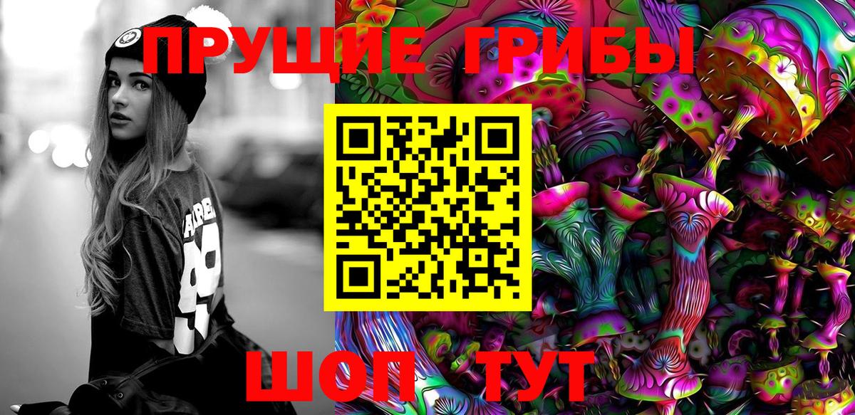 Галлюциногенные грибы мицелий Новочеркасск