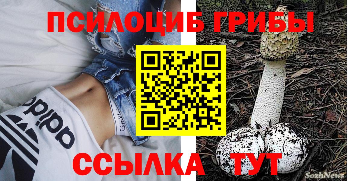Новочеркасск  Галлюциногенные грибы Psilocybe  Вход с VPN 